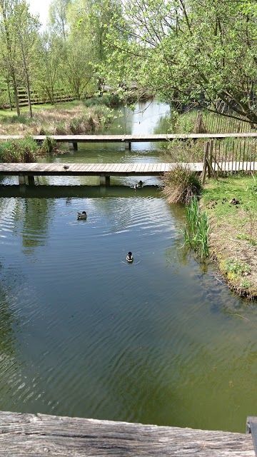Parc du chemin de l'ile